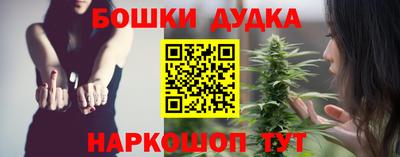 мдпв Пенза