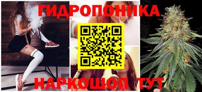 гашик Партизанск