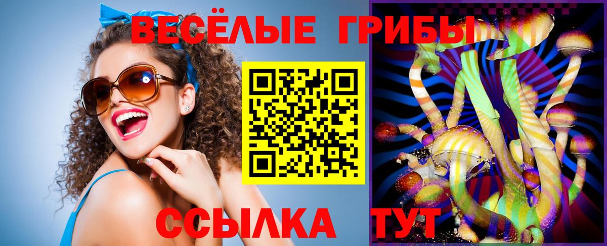 Галлюциногенные грибы ЛСД Камень-на-Оби