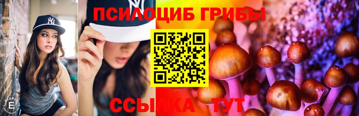 Псилоцибиновые грибы мицелий  Псилоцибиновые грибы мицелий  закладки  Камень-на-Оби  Вход с VPN 